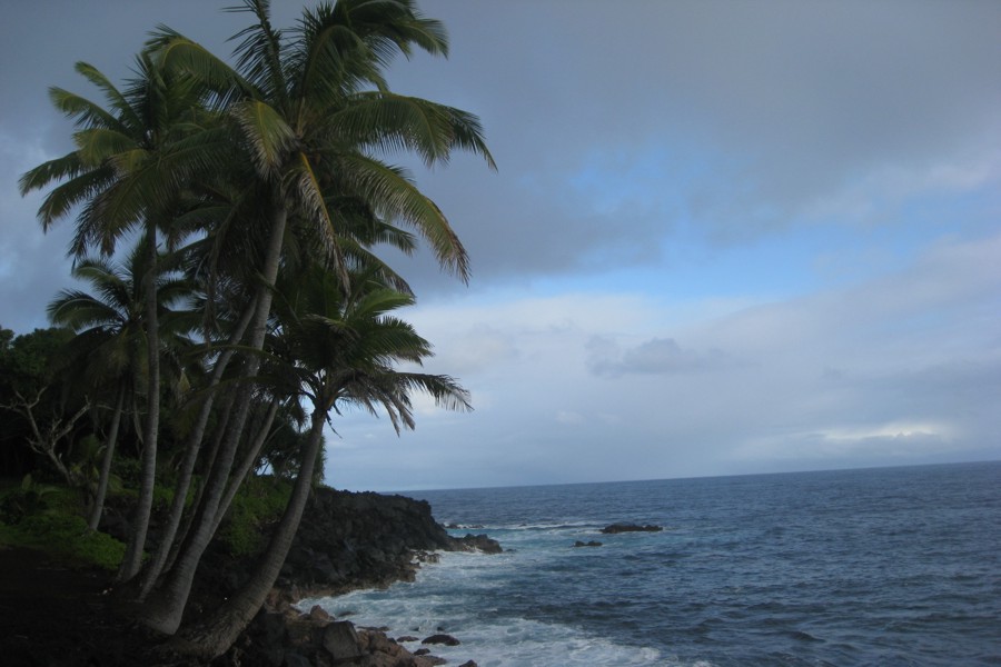 ../image/pretty shoreline near puna 2.jpg